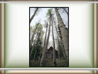 Ghost Town Szellemvárosok  03