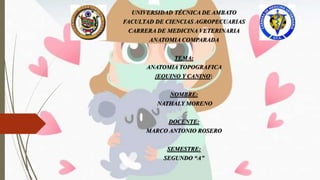 UNIVERSIDAD TÉCNICA DE AMBATO
FACULTAD DE CIENCIAS AGROPECUARIAS
CARRERA DE MEDICINA VETERINARIA
ANATOMIA COMPARADA
TEMA:
ANATOMIA TOPOGRAFICA
{EQUINO Y CANINO}
NOMBRE:
NATHALY MORENO
DOCENTE:
MARCO ANTONIO ROSERO
SEMESTRE:
SEGUNDO “A”
 