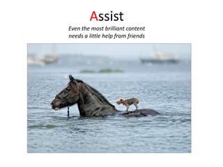 Assist
Even the most brilliant content
needs a little help from friends
 