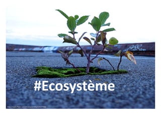 http://www.flickr.com/photos/ph0t0s/64827768/
#Ecosystème
 