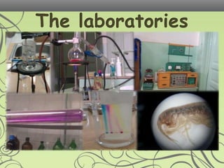 Szinyei mp secondary school(zöld) hun