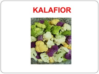KALAFIOR
 