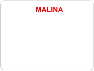 MALINA
 