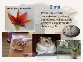 Zima
Poznawanie roślin
doniczkowych, zwierząt
domowych, wykonywanie
prostych eksperymentów
chemicznych.
48SP 9 Dzierżoniów
 