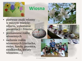 Wiosna
• pierwsze znaki wiosny
w naszym mieście:
zdjęcia, wykonanie
prezentacji i filmów;
• poznawanie roślin
wiosennych
• sadzenie roślin
wiosennych (rzeżucha,
owies, fasola, pszenica,
rzodkiewka, kwiaty
wiosenne,...)
49SP 9 Dzierżoniów
 