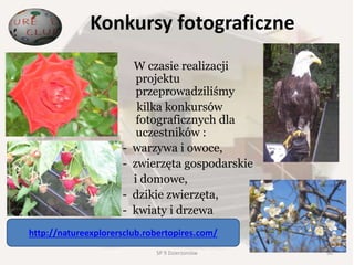Konkursy fotograficzne
W czasie realizacji
projektu
przeprowadziliśmy
kilka konkursów
fotograficznych dla
uczestników :
- warzywa i owoce,
- zwierzęta gospodarskie
i domowe,
- dzikie zwierzęta,
- kwiaty i drzewa
http://natureexplorersclub.robertopires.com/
50SP 9 Dzierżoniów
 