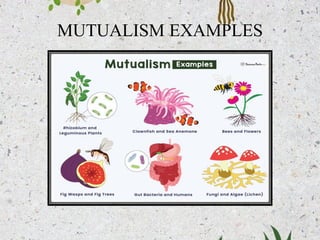 interrelationship_between_plants_and_microbe.pdf