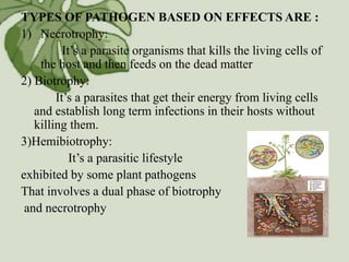 interrelationship_between_plants_and_microbe.pdf