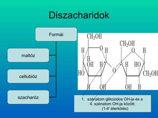 Diszacharidok szénatom glikozidos OH-ja és a  4. szénatom OH-ja között. (1-4' éterkötés)  Formái maltóz cellubióz szacharóz 