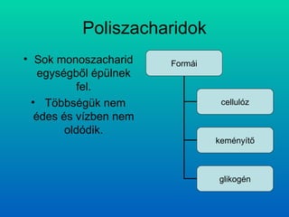 Poliszacharidok Sok monoszacharid egységből épülnek fel. Többségük nem édes és vízben nem oldódik. Formái cellulóz keményítő glikogén 