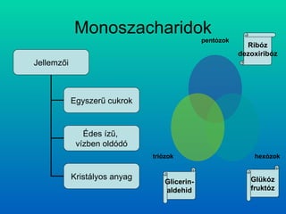 Monoszacharidok Glicerin- aldehid Glükóz fruktóz Ribóz dezoxiribóz Jellemzői Egyszerű cukrok Édes ízű,  vízben oldódó Kristályos anyag pentózok hexózok triózok 