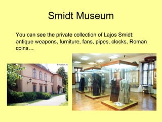 Smidt Museum
You can see the private collection of Lajos Smidt:
antique weapons, furniture, fans, pipes, clocks, Roman
coins…
 