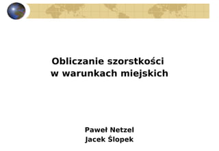 Obliczanie szorstkości
w warunkach miejskich




      Paweł Netzel
      Jacek Ślopek
 