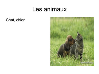 Les animaux ,[object Object]