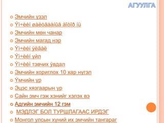 ЭМЧИЙН ЁС ЗҮЙ | PPT