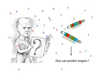 Learning from the pathogen towards tailored-sustainable resistance : the case study of Xanthomonas TAL effectors