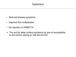 Learning from the pathogen towards tailored-sustainable resistance : the case study of Xanthomonas TAL effectors