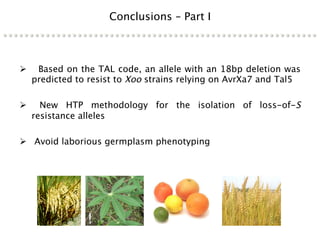Learning from the pathogen towards tailored-sustainable resistance : the case study of Xanthomonas TAL effectors