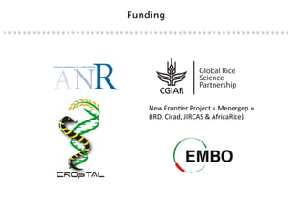 Learning from the pathogen towards tailored-sustainable resistance : the case study of Xanthomonas TAL effectors