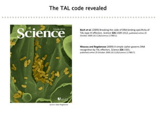 Learning from the pathogen towards tailored-sustainable resistance : the case study of Xanthomonas TAL effectors
