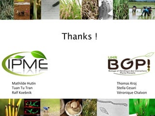 Learning from the pathogen towards tailored-sustainable resistance : the case study of Xanthomonas TAL effectors