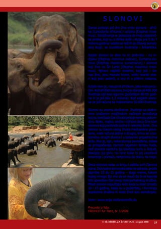 OSVOBODITEV ŽIVALI - november 2007 27
S L O N O V I
Danas postoje još dve žive vrste slonova - afrič-
ka (Loxodonta africa...