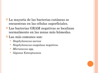  La mayoría de las bacterias cutáneas se
  encuentran en las células superficiales.
 Las bacterias GRAM negativas se localizan
  normalmente en las zonas más húmedas.
 Las más comunes son:
     Staphylococcus aureus
     Staphylococcus coagulasa negativos.
     Micrococcus spp.
     Algunos Estreptococos
 