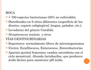 BOCA
 + 700 especies bacterianas (50% no cultivable).

 Distribuidos en 9 sitios diferentes (superficie de los
  dientes, espacio subgingival, lengua, paladar, etc.).
 Levaduras del género Candida.

 Streptococcus mutans y otros

VÍAS GENITOURINARIAS
 Superiores: normalmente libres de microorganismos

 Uretra: Estafilococos, Enterococos ,Enterobacterias

 Aparato genital femenino: cambia microbiota con el
  ciclo menstrual. Abunda lactobacilos, que producen
  ácido láctico para mantener pH ácido.
 