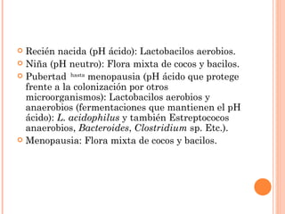  Recién nacida (pH ácido): Lactobacilos aerobios.
 Niña (pH neutro): Flora mixta de cocos y bacilos.
 Pubertad hasta menopausia (pH ácido que protege
  frente a la colonización por otros
  microorganismos): Lactobacilos aerobios y
  anaerobios (fermentaciones que mantienen el pH
  ácido): L. acidophilus y también Estreptococos
  anaerobios, Bacteroides, Clostridium sp. Etc.).
 Menopausia: Flora mixta de cocos y bacilos.
 
