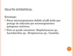 TRACTO INTESTINAL

Estomago:
 Pocos microorganismos debido al pH ácido que
  protege de infección por microorganismos
  patógenos entéricos.
 Pero se puede encontrar: Staphylococcus sp.,
  Lactobacillus sp., Streptococcus sp., Candida.
 