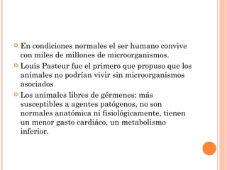  En condiciones normales el ser humano convive
  con miles de millones de microorganismos.
 Louis Pasteur fue el primero que propuso que los
  animales no podrían vivir sin microorganismos
  asociados
 Los animales libres de gérmenes: más
  susceptibles a agentes patógenos, no son
  normales anatómica ni fisiológicamente, tienen
  un menor gasto cardiáco, un metabolismo
  inferior.
 