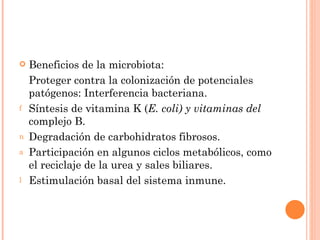    Beneficios de la microbiota:
    Proteger contra la colonización de potenciales
    patógenos: Interferencia bacteriana.
f   Síntesis de vitamina K (E. coli) y vitaminas del
    complejo B.
n   Degradación de carbohidratos fibrosos.
a   Participación en algunos ciclos metabólicos, como
    el reciclaje de la urea y sales biliares.
l   Estimulación basal del sistema inmune.
 