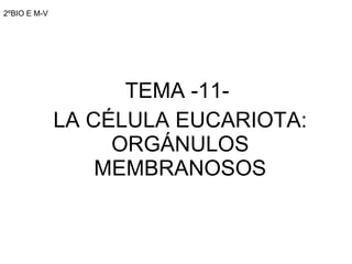 2ºBIO E M-V TEMA -11-  LA CÉLULA EUCARIOTA: ORGÁNULOS MEMBRANOSOS 