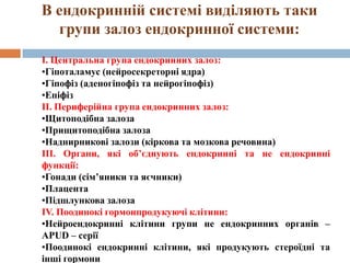 В ендокринній системі виділяють таки
  групи залоз ендокринної системи:
І. Центральна група ендокринних залоз:
•Гіпоталамус (нейросекреторні ядра)
•Гіпофіз (аденогіпофіз та нейрогіпофіз)
•Епіфіз
ІІ. Периферійна група ендокринних залоз:
•Щитоподібна залоза
•Прищитоподібна залоза
•Наднирникові залози (кіркова та мозкова речовина)
ІІІ. Органи, які об’єднують ендокринні та не ендокринні
функції:
•Гонади (сім’яники та яєчники)
•Плацента
•Підшлункова залоза
ІV. Поодинокі гормонпродукуючі клітини:
•Нейроендокринні клітини групи не ендокринних органів –
АPUD – серії
•Поодинокі ендокринні клітини, які продукують стероїдні та
інші гормони
 