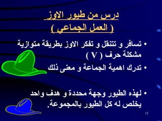 درس من طيور الاوز  (  العمل الجماعي  )   تسافر و تتنقل و تفكر الاوز بطريقة متوازية مشكلة حرف   ( V ) تدرك اهمية الجماعة و معنى ذلك   لهذه الطيور وجهة محددة و هدف واحد يخلص له كل الطيور بالمجموعة .   