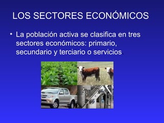 LOS SECTORES ECONÓMICOS
• La población activa se clasifica en tres
sectores económicos: primario,
secundario y terciario o servicios.
 