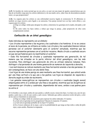 14
A.25. Un hombre de visión normal que no era calvo, se casó con una mujer de iguales características que era
hija de un hombre ciego para los colores (daltonico) y de una madre calva. ¿Qué clase de descendencia pueden
tener y en que proporciones?
A.26.- La ceguera para los colores es una enfermedad recesiva ligada al cromosoma X. El albinismo es
también un rasgo recesivo, pero ligado a un autosoma. Una pareja normal tuvo un hijo varón albino y con
ceguera para los colores.
a) Elige un código válido para designar los alelos y determina los genotipos de la madre, del padre y del
hijo.
b) De entre todos los hijos (niños y niñas) que tenga la pareja, ¿Qué proporción de ellos sería
completamente normal.
Confección de un árbol genealógico:
Cada individuo se representa con un símbolo:
▪Los círculos representan a las mujeres y los cuadrados a los hombres. Si no se conoce
el sexo de la persona, se utilizara un rombo. Los círculos y los cuadrados blancos indican
personas con el carácter dominante para el carácter estudiado, mientras que los
oscuros representan personas con el carácter recesivo. Medio círculo a cuadrado oscuro
es que son portadores pero no manifiestan el carácter.
▪Cada fila horizontal de círculos y cuadrados representan una generación, de tal
manera que las situadas en la parte inferior del árbol genealógico, son las más
recientes. Para distinguir una generación de otra se utilizan números romanos. Para
distinguir a las personas de una misma generación se numeran de izquierda a derecha.
▪Los matrimonios se indican mediante una línea horizontal uniendo a las dos personas. Si
son consanguíneos, se hace con una doble línea.
▪Los hijos de una misma pareja se unen mediante una línea horizontal, que estará unida
por una línea vertical a la que une a los padres. Los hijos se disponen de izquierda a
derecha según su orden de nacimiento.
▪Los gemelos monocigóticos se representan con círculos o cuadrados (según sexos)
emparejados entre sí y unidos por una línea a los padres, mientras que los dicigóticos se
representan por círculos y cuadrados, dependiendo del sexo, unidos a sus padres pero
no entre sí
4) Un hombre y una mujer, ambos de ojos pardos y cabello oscuro, tienen dos hijos. Los hijos son, uno de ojos
pardos y pelo rojo, y otro de ojos azules y pelo oscuro. Sabiendo que ambos caracteres (color del pelo y color
de los ojos) se transmiten en autosomas.
a) Elige un código válido de caracteres para expresar los alelos indicados. 0.5 puntos.
b) ¿Cuál sería el genotipo de los progenitores? Razona la respuesta. 0.5 puntos.
c) ¿Cuál sería el genotipo probable de los hijos? 0.5 puntos.
d) En el tercer embarazo de la mujer, cual es la probabilidad de que tenga un hijo (niño o niña) de pelo
rojo y ojos azules. Razona tu respuesta
 