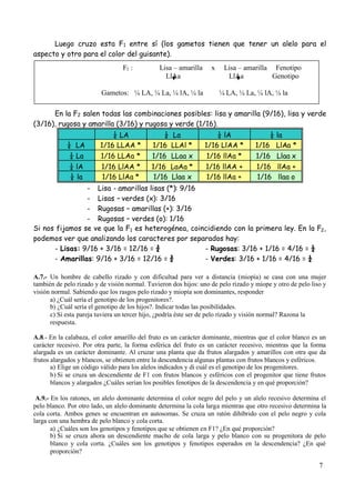 7
Luego cruzo esta F1 entre sí (los gametos tienen que tener un alelo para el
aspecto y otro para el color del guisante).
En la F2 salen todas las combinaciones posibles: lisa y amarilla (9/16), lisa y verde
(3/16), rugosa y amarilla (3/16) y rugosa y verde (1/16).
¼ LA ¼ La ¼ lA ¼ la
¼ LA 1/16 LLAA * 1/16 LLAl * 1/16 LlAA * 1/16 LlAa *
¼ La 1/16 LLAa * 1/16 LLaa x 1/16 llAa * 1/16 Llaa x
¼ lA 1/16 LlAA * 1/16 LaAa * 1/16 llAA + 1/16 llAa +
¼ la 1/16 LlAa * 1/16 Llaa x 1/16 llAa + 1/16 llaa o
- Lisa - amarillas lisas (*): 9/16
- Lisas – verdes (x): 3/16
- Rugosas – amarillas (+): 3/16
- Rugosas – verdes (o): 1/16
Si nos fijamos se ve que la F1 es heterogénea, coincidiendo con la primera ley. En la F2,
podemos ver que analizando los caracteres por separados hay:
- Lisas: 9/16 + 3/16 = 12/16 = ¾ - Rugosas: 3/16 + 1/16 = 4/16 = ¼
- Amarillas: 9/16 + 3/16 = 12/16 = ¾ - Verdes: 3/16 + 1/16 = 4/16 = ¼
A.7.- Un hombre de cabello rizado y con dificultad para ver a distancia (miopía) se casa con una mujer
también de pelo rizado y de visión normal. Tuvieron dos hijos: uno de pelo rizado y miope y otro de pelo liso y
visión normal. Sabiendo que los rasgos pelo rizado y miopía son dominantes, responder
a) ¿Cuál sería el genotipo de los progenitores?.
b) ¿Cuál sería el genotipo de los hijos?. Indicar todas las posibilidades.
c) Si esta pareja tuviera un tercer hijo, ¿podría éste ser de pelo rizado y visión normal? Razona la
respuesta.
A.8.- En la calabaza, el color amarillo del fruto es un carácter dominante, mientras que el color blanco es un
carácter recesivo. Por otra parte, la forma esférica del fruto es un carácter recesivo, mientras que la forma
alargada es un carácter dominante. Al cruzar una planta que da frutos alargados y amarillos con otra que da
frutos alargados y blancos, se obtienen entre la descendencia algunas plantas con frutos blancos y esféricos.
a) Elige un código válido para los alelos indicados y di cuál es el genotipo de los progenitores.
b) Si se cruza un descendiente de F1 con frutos blancos y esféricos con el progenitor que tiene frutos
blancos y alargados ¿Cuáles serían los posibles fenotipos de la descendencia y en qué proporción?
A.9.- En los ratones, un alelo dominante determina el color negro del pelo y un alelo recesivo determina el
pelo blanco. Por otro lado, un alelo dominante determina la cola larga mientras que otro recesivo determina la
cola corta. Ambos genes se encuentran en autosomas. Se cruza un ratón dihíbrido con el pelo negro y cola
larga con una hembra de pelo blanco y cola corta.
a) ¿Cuáles son los genotipos y fenotipos que se obtienen en F1? ¿En qué proporción?
b) Si se cruza ahora un descendiente macho de cola larga y pelo blanco con su progenitora de pelo
blanco y cola corta. ¿Cuáles son los genotipos y fenotipos esperados en la descendencia? ¿En qué
proporción?
F1 : Lisa – amarilla x Lisa – amarilla Fenotipo
LlAa LlAa Genotipo
Gametos: ¼ LA, ¼ La, ¼ lA, ¼ la ¼ LA, ¼ La, ¼ lA, ¼ la
 