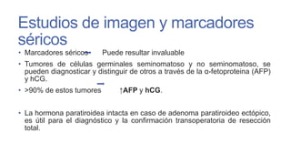 Estudios de imagen y marcadores
séricos
• Marcadores séricos

Puede resultar invaluable

• Tumores de células germinales seminomatoso y no seminomatoso, se
pueden diagnosticar y distinguir de otros a través de la α-fetoproteina (AFP)
y hCG.
• >90% de estos tumores

↑AFP y hCG.

• La hormona paratiroidea intacta en caso de adenoma paratiroideo ectópico,
es útil para el diagnóstico y la confirmación transoperatoria de resección
total.

 