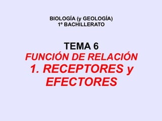 T.6 receptores y efectores.