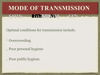 Optimal conditions for transmission include:
Overcrowding
Poor personal hygiene
Poor public hygiene
M
MODE
ODE
OFOF
T
R
A
N
S
T
R
A
N
S
M
M
IS
ISS
SION
I
ON
MODE OF TRANSMISSION
 