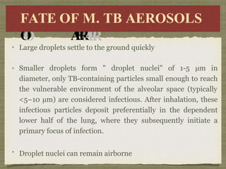 F
F
A
A
T
E
T
E
O
O
F
FM
M.. TB
TB
A
E
R
A
E
R
O
OS
SO
OL
LS
S
FATE OF M. TB AEROSOLS
Large droplets settle to the ground quickly
Smaller droplets form " droplet nuclei" of 1-5 µm in
diameter, only TB-containing particles small enough to reach
the vulnerable environment of the alveolar space (typically
<5–10 µm) are considered infectious. After inhalation, these
infectious particles deposit preferentially in the dependent
lower half of the lung, where they subsequently initiate a
primary focus of infection.
Droplet nuclei can remain airborne
 