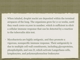 When inhaled, droplet nuclei are deposited within the terminal
airspaces of the lung. The organisms grow for 2-12 weeks, until
they reach 1000-10,000 in number, which is sufficient to elicit
a cellular immune response that can be detected by a reaction
to the tuberculin skin test.
Mycobacteria are highly antigenic, and they promote a
vigorous, nonspecific immune response. Their antigenicity is
due to multiple cell wall constituents, including glycoproteins,
phospholipids, and wax D, which activate Langerhans cells,
lymphocytes, and polymorphonuclear leukocytes
 