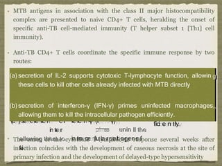 MTB antigens in association with the class II major histocompatibility
complex are presented to naive CD4+ T cells, heralding the onset of
specific anti-TB cell-mediated immunity (T helper subset 1 [Th1] cell
immunity).
(a(a))seseccrerettiioonn ooff
IILL-2-2
t
th
he
ese
se ce
celllls
s t
to
o k
kiillll
o
o
(b(b))seseccrerettiioonn ooff
iinntteerr
a
allllo
ow
wiin
ng
g t
th
he
em
m t
to
o
kiki
susuppppoortrtss cytcytoottooxxiicc
T-l-lyympmphhooc
t
t
h
h
e
e
r
rcecellllss a
a
l
l
r
e
r
e
a
a
d
d
y
yi
i
n
n
f
f
e
e
c
c
t
t
e
e
d
d
w
w
i
i
t
t
h
ffeeroronn-γ-γ(I(IFN-γ)γ)
p
pr
ri
im
me
es
s u
un
niin
n llll t
th
he
e
iinnttraracecelllluullaarrp
p
a
a
t
t
h
h
o
o
g
g
e
e
n
n
eeff
ytee ffuunnctctiioonn,,a
a
l
l
l
l
o
o
w
w
i
i
n
n
g
h MT
MTB
B d
diire
rect
ctlly
y
f
f
e
e
c
c
t
t
e
e
d
d
m
m
a
a
c
r
o
c
r
o
p
p
h
h
a
a
g
g
e
e
s
,
s
ffiicicieennttlly.y.
Anti-TB CD4+ T cells coordinate the specific immune response by two
routes:
(a) secretion of IL-2 supports cytotoxic T-lymphocyte function, allowin g
these cells to kill other cells already infected with MTB directly
(b) secretion of interferon-γ (IFN-γ) primes uninfected macrophages,,
allowing them to kill the intracellular pathogen efficiently.
The onset of the cytotoxic T-lymphocyte response several weeks after
infection coincides with the development of caseous necrosis at the site of
primary infection and the development of delayed-type hypersensitivity
 