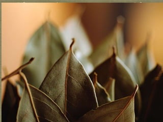 t-140513165753-phpapp02.pptx