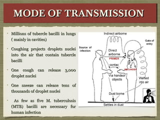 Millions of tubercle bacilli in lungsMillions of tubercle bacilli in lungs
( mainly in cavities)( mainly in cavities)
Coughing projects droplets nucleiCoughing projects droplets nuclei
into the air that contain tubercleinto the air that contain tubercle
bacillibacilli
One cough can release 3,000One cough can release 3,000
droplet nucleidroplet nuclei
One sneeze can release tens ofOne sneeze can release tens of
thousands of droplet nucleithousands of droplet nuclei
As few as five M. tuberculosisAs few as five M. tuberculosis
(MTB) bacilli are necessary for(MTB) bacilli are necessary for
human infectionhuman infection
MODE OF TRANSMISSIONMODE OF TRANSMISSIONMODE OF TRANSMISSIONMODE OF TRANSMISSION
 