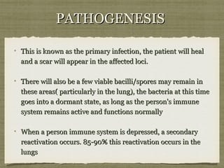 PATHOGENESISPATHOGENESIS
This is known as the primary infection, the patient will healThis is known as the primary infection, the patient will heal
and a scar will appear in the affected loci.and a scar will appear in the affected loci.
There will also be a few viable bacilli/spores may remain inThere will also be a few viable bacilli/spores may remain in
these areas( particularly in the lung), the bacteria at this timethese areas( particularly in the lung), the bacteria at this time
goes into a dormant state, as long as the person's immunegoes into a dormant state, as long as the person's immune
system remains active and functions normallysystem remains active and functions normally
When a person immune system is depressed, a secondaryWhen a person immune system is depressed, a secondary
reactivation occurs. 85-90% this reactivation occurs in thereactivation occurs. 85-90% this reactivation occurs in the
lungslungs
 