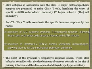 MTB antigens in association with the class II major histocompatibilityMTB antigens in association with the class II major histocompatibility
complex are presented to naive CD4+ T cells, heralding the onset ofcomplex are presented to naive CD4+ T cells, heralding the onset of
specific anti-TB cell-mediated immunity (T helper subset 1 [Th1] cellspecific anti-TB cell-mediated immunity (T helper subset 1 [Th1] cell
immunity).immunity).
Anti-TB CD4+ T cells coordinate the specific immune response by twoAnti-TB CD4+ T cells coordinate the specific immune response by two
routes:routes:
The onset of the cytotoxic T-lymphocyte response several weeks afterThe onset of the cytotoxic T-lymphocyte response several weeks after
infection coincides with the development of caseous necrosis at the site ofinfection coincides with the development of caseous necrosis at the site of
primary infection and the development of delayed-type hypersensitivityprimary infection and the development of delayed-type hypersensitivity
(a)(a) secretion of IL-2 supports cytotoxic T-lymphocyte function, allowingsecretion of IL-2 supports cytotoxic T-lymphocyte function, allowing
these cells to kill other cells already infected with MTB directlythese cells to kill other cells already infected with MTB directly
(b)(b) secretion of interferon-γ (IFN-γ) primes uninfected macrophages,secretion of interferon-γ (IFN-γ) primes uninfected macrophages,
allowing them to kill the intracellular pathogen efficiently.allowing them to kill the intracellular pathogen efficiently.
(a)(a) secretion of IL-2 supports cytotoxic T-lymphocyte function, allowingsecretion of IL-2 supports cytotoxic T-lymphocyte function, allowing
these cells to kill other cells already infected with MTB directlythese cells to kill other cells already infected with MTB directly
(b)(b) secretion of interferon-γ (IFN-γ) primes uninfected macrophages,secretion of interferon-γ (IFN-γ) primes uninfected macrophages,
allowing them to kill the intracellular pathogen efficiently.allowing them to kill the intracellular pathogen efficiently.
 