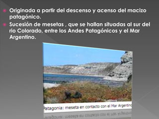  Originada a partir del descenso y acenso del macizo
patagónico.
 Sucesión de mesetas , que se hallan situadas al sur del
rio Colorado, entre los Andes Patagónicos y el Mar
Argentino.
 