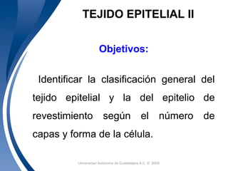 Universidad Autónoma de Guadalajara A.C. © 20091
TEJIDO EPITELIAL II
Objetivos:
Identificar la clasificación general del
tejido epitelial y la del epitelio de
revestimiento según el número de
capas y forma de la célula.
 